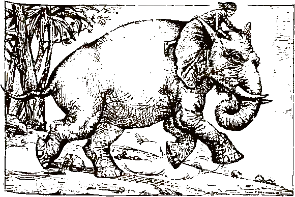 Хозяева джунглей. Рассказы о тиграх и слонах - i_011.png