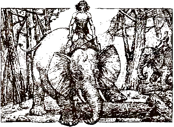 Хозяева джунглей. Рассказы о тиграх и слонах - i_014.png