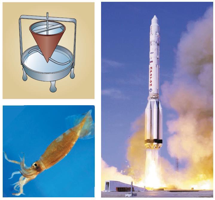 Естествознание. Базовый уровень. 10 класс - i_071.jpg