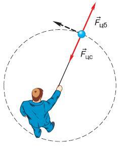 Естествознание. Базовый уровень. 10 класс - i_073.jpg
