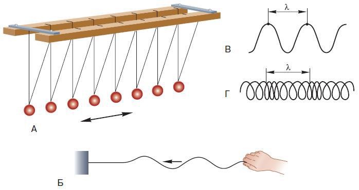 Естествознание. Базовый уровень. 10 класс - i_082.jpg