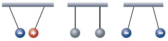 Естествознание. Базовый уровень. 10 класс - i_090.jpg