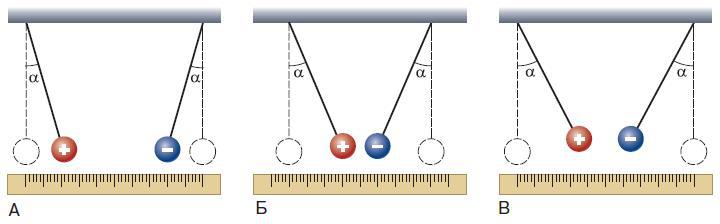 Естествознание. Базовый уровень. 10 класс - i_091.jpg