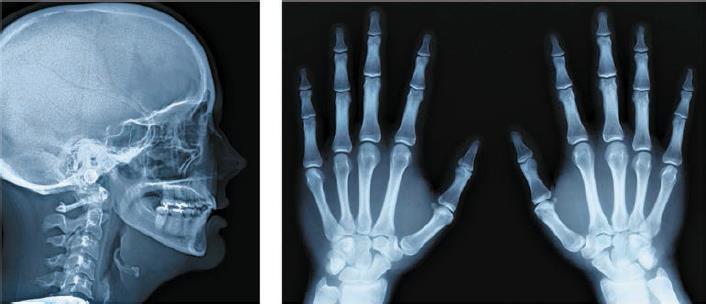 Естествознание. Базовый уровень. 10 класс - i_106.jpg