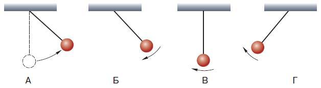 Естествознание. Базовый уровень. 10 класс - i_111.jpg