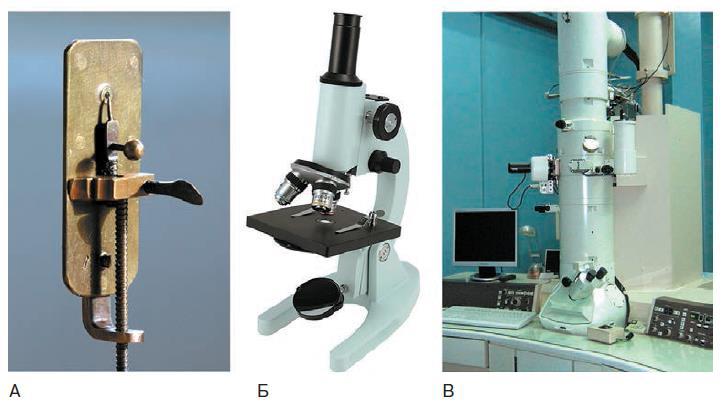 Естествознание. Базовый уровень. 10 класс - i_119.jpg