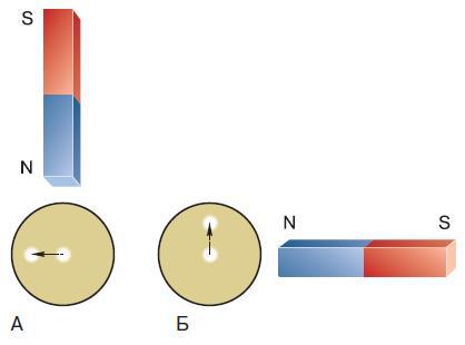 Естествознание. Базовый уровень. 10 класс - i_124.jpg