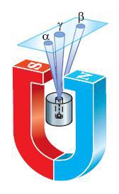 Естествознание. Базовый уровень. 10 класс - i_127.jpg