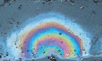 Естествознание. Базовый уровень. 10 класс - i_128.jpg