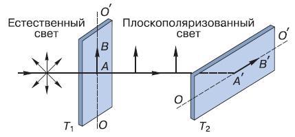Естествознание. Базовый уровень. 10 класс - i_129.jpg