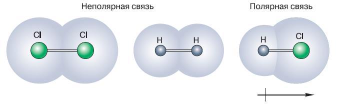 Естествознание. Базовый уровень. 10 класс - i_154.jpg