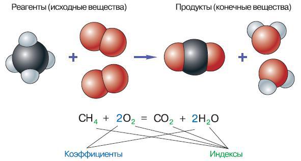 Естествознание. Базовый уровень. 10 класс - i_156.jpg