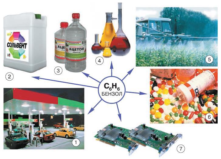 Естествознание. Базовый уровень. 10 класс - i_167.jpg