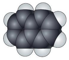 Естествознание. Базовый уровень. 10 класс - i_168.jpg