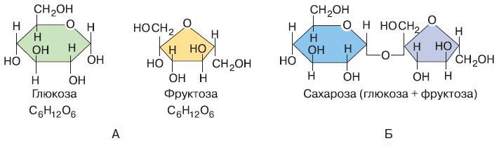 Естествознание. Базовый уровень. 10 класс - i_176.jpg
