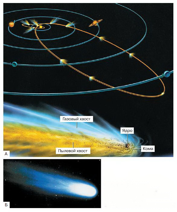 Естествознание. Базовый уровень. 10 класс - i_204.jpg