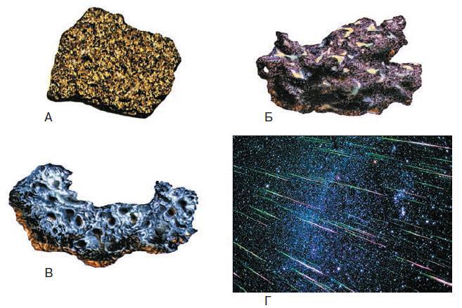 Естествознание. Базовый уровень. 10 класс - i_205.jpg