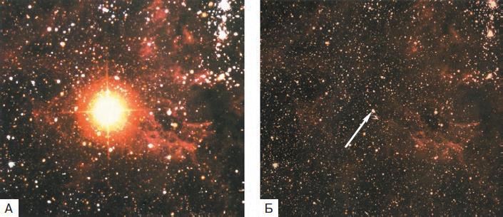 Естествознание. Базовый уровень. 10 класс - i_208.jpg