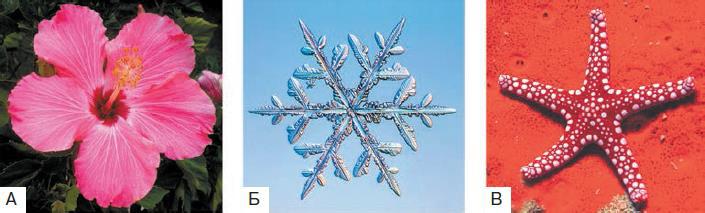 Естествознание. Базовый уровень. 10 класс - i_219.jpg