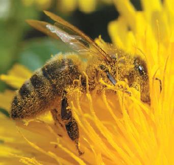 Естествознание. Базовый уровень. 10 класс - i_225.jpg