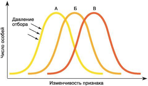 Биология. Общая биология. Базовый уровень. 11 класс - i_020.jpg