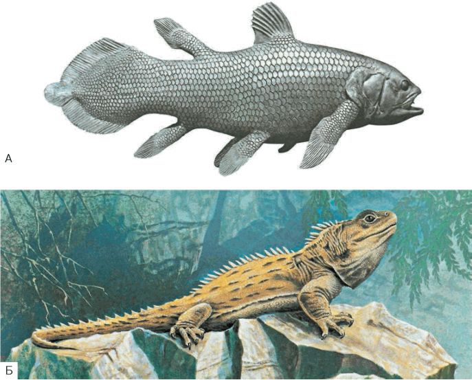 Биология. Общая биология. Базовый уровень. 11 класс - i_023.jpg