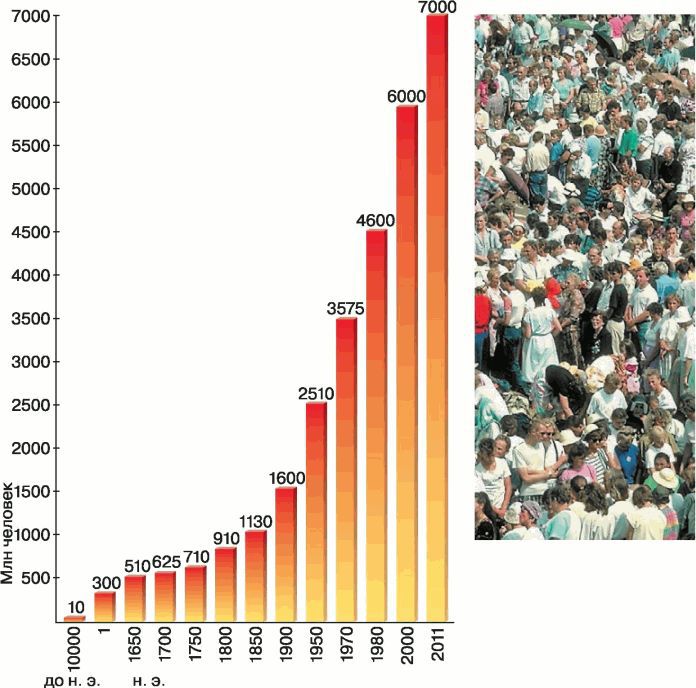 Биология. Общая биология. Базовый уровень. 11 класс - i_090.jpg