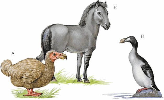 Биология. Общая биология. Базовый уровень. 11 класс - i_091.jpg