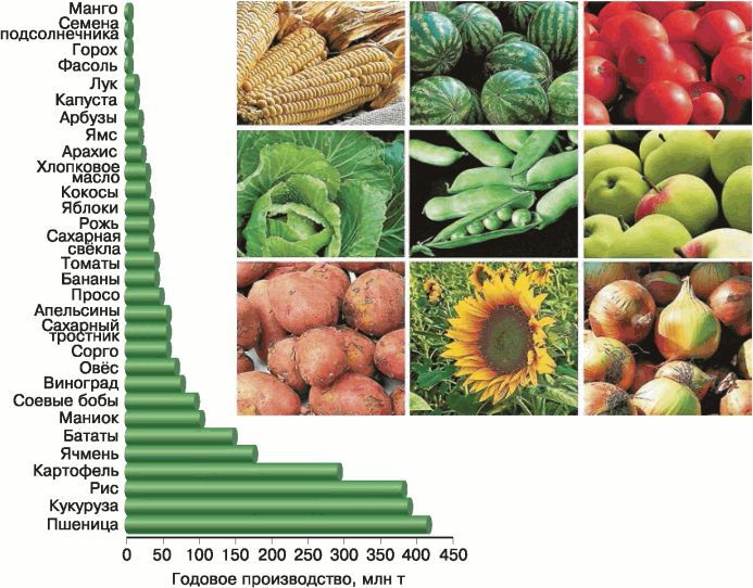 Биология. Общая биология. Базовый уровень. 11 класс - i_093.jpg