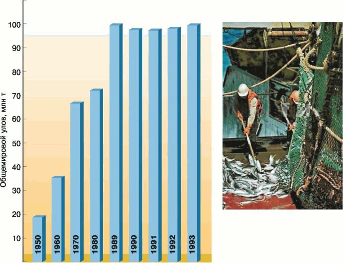 Биология. Общая биология. Базовый уровень. 11 класс - i_094.jpg