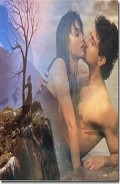Серия книг Авантюра для барышни