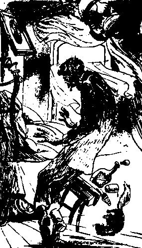 Двенадцать стульев (илл. Е. Шукаева) - pic_6.png