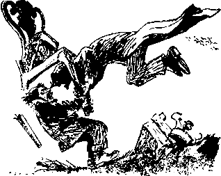 Двенадцать стульев (илл. Е. Шукаева) - pic_19.png