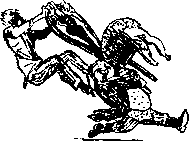 Двенадцать стульев (илл. Е. Шукаева) - pic_36.png