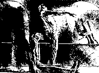 Двенадцать стульев (илл. Е. Шукаева) - pic_78.png