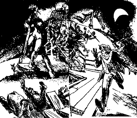 Двенадцать стульев (илл. Е. Шукаева) - pic_84.png