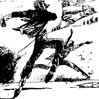 Двенадцать стульев (илл. Е. Шукаева) - pic_91.png