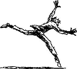 Двенадцать стульев (илл. Е. Шукаева) - pic_96.png