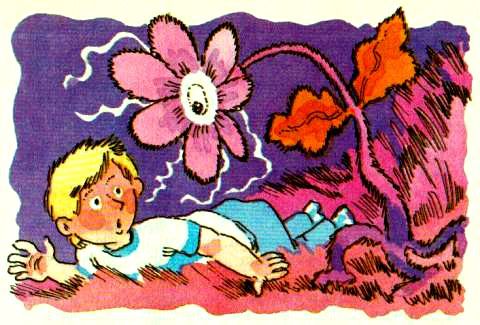 Королевство кривых зеркал - pic_42.jpg