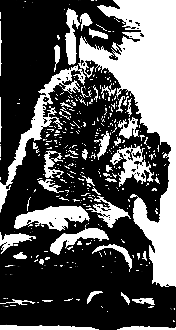 Злой дух Ямбуя - pic_14.png