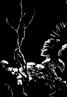 Злой дух Ямбуя - pic_15.png