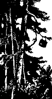 Злой дух Ямбуя - pic_19.png