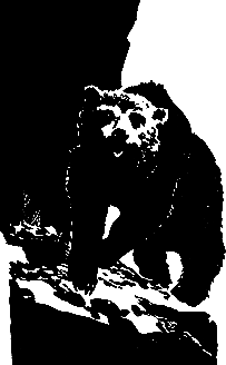 Злой дух Ямбуя - pic_22.png