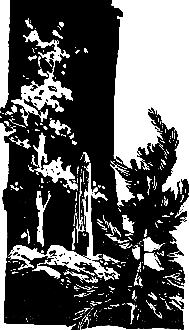 Злой дух Ямбуя - pic_26.png