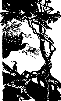 Злой дух Ямбуя - pic_27.png