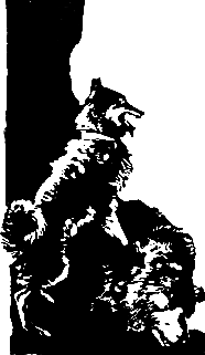 Злой дух Ямбуя - pic_9.png