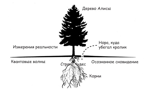 Квантовый ум. Грань между физикой и психологией - i_005.jpg