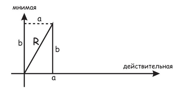 Квантовый ум. Грань между физикой и психологией - i_024.jpg