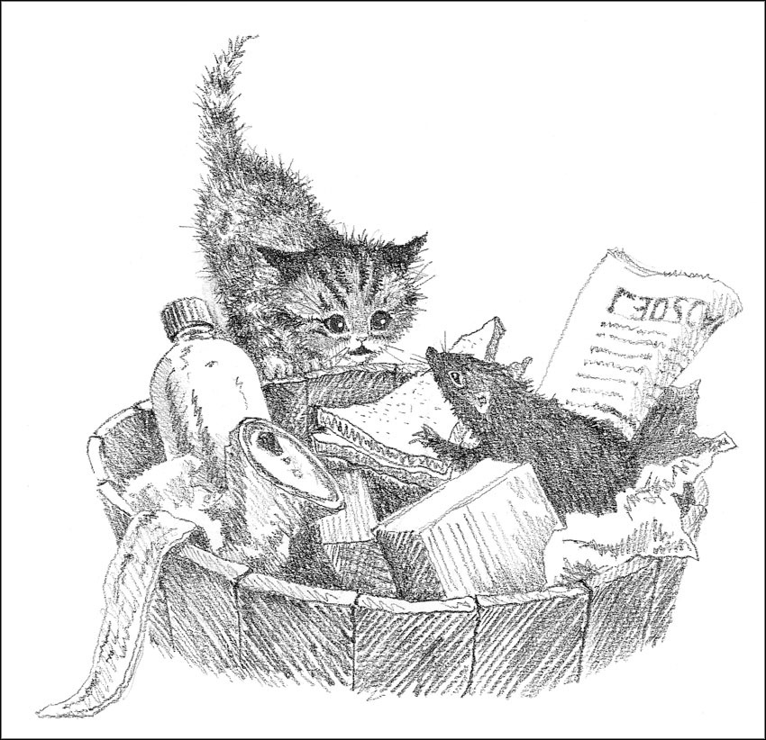 Котёнок Пушинка, или Рождественское чудо - i_017.jpg