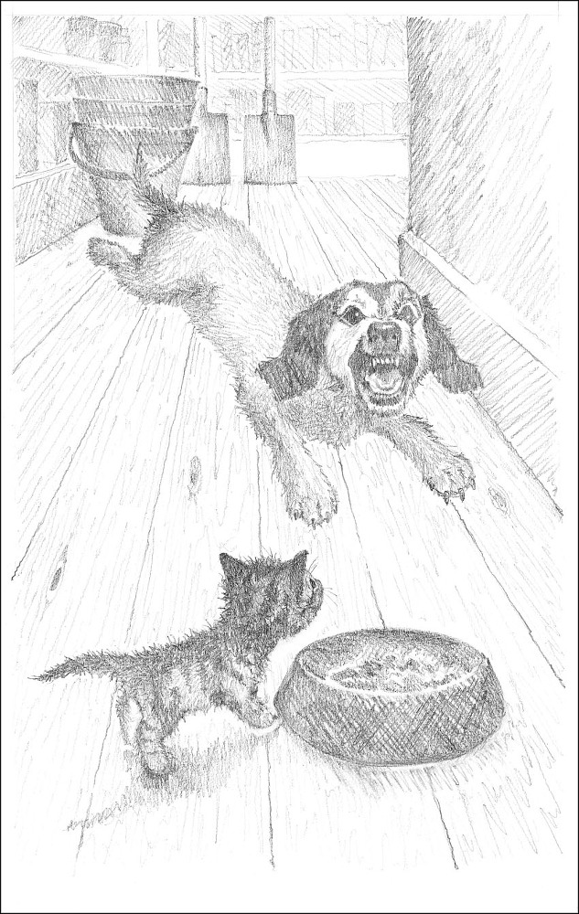 Котёнок Пушинка, или Рождественское чудо - i_018.jpg